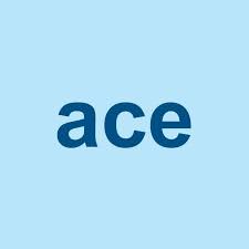 client - ACE ENGINEERING SOLUTIONS INDIA PVT LTD